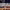 https://res.cloudinary.com/billionhands/image/upload/v1771326990/items/tlzc570ualxhlaexz5cl.webp-1cover