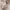 https://res.cloudinary.com/billionhands/image/upload/v1771326991/items/px6fyq6xjvjdpols8jqs.jpg-0cover