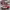 https://res.cloudinary.com/billionhands/image/upload/v1771326992/items/o7gvfz6jxxki4ifvgdj6.png-1cover