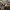 https://res.cloudinary.com/billionhands/image/upload/v1771330827/items/evnaq354nwtdohzpqabl.png-2cover