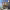 https://res.cloudinary.com/billionhands/image/upload/v1771331034/items/auhbdfbjsgjkwkk0fo4d.jpg-1cover