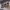 https://res.cloudinary.com/billionhands/image/upload/v1771331087/items/ji738r8bnnocz26fvu3f.webp-2cover
