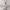 https://res.cloudinary.com/billionhands/image/upload/v1771331270/items/ieafshtsrrjsbcengdnp.jpg-2cover