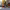 https://res.cloudinary.com/billionhands/image/upload/v1771331486/items/k5uyxceolvffrnqmtrpw.jpg-0cover