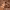 https://res.cloudinary.com/billionhands/image/upload/v1771331496/items/vryqgecl38jqkupt7ocu.jpg-0cover