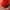 https://res.cloudinary.com/billionhands/image/upload/v1771331666/items/t0vvwdecjoaas4jyrxtz.jpg-0cover