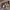 https://res.cloudinary.com/billionhands/image/upload/v1771331667/items/bz7yjwhhdax5gxgisgsg.jpg-0cover