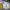 https://res.cloudinary.com/billionhands/image/upload/v1771331795/items/fbyug6noza3ecrobd3ir.jpg-3cover