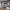 https://res.cloudinary.com/billionhands/image/upload/v1771331992/items/bti2ihhtf0oaevzpy8rl.jpg-3cover