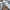 https://res.cloudinary.com/billionhands/image/upload/v1771332027/items/x87t0yg9qrtc4a4dm3dn.jpg-1cover