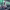 https://res.cloudinary.com/billionhands/image/upload/v1771332181/items/nl1bp2buv4hcqfekht5e.jpg-2cover