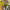 https://res.cloudinary.com/billionhands/image/upload/v1771332215/items/foaefzgflcrqppmm22yc.jpg-3cover
