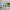 https://res.cloudinary.com/billionhands/image/upload/v1771332357/items/dnat7pyrpboxlnviamx8.avif-1cover
