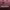 Zerviz cover