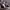https://res.cloudinary.com/billionhands/image/upload/v1771332559/items/nawqtpvtrtgyzmeci8u3.jpg-3cover