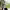 https://res.cloudinary.com/billionhands/image/upload/v1771332688/items/jkauk8drkgrrvn6vescj.jpg-3cover