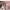https://res.cloudinary.com/billionhands/image/upload/v1771332715/items/bkgqvcoeppw8rf0hsmwl.jpg-1cover