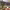 https://res.cloudinary.com/billionhands/image/upload/v1771332716/items/roay64tp3eojgvpmiswy.webp-2cover