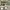 https://res.cloudinary.com/billionhands/image/upload/v1771332736/items/avdn5tvswtuentyegyku.webp-0cover