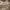 https://res.cloudinary.com/billionhands/image/upload/v1771332801/items/tenxgrduz9f38rvqzkyn.jpg-1cover
