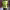 https://res.cloudinary.com/billionhands/image/upload/v1771333194/items/rr9dlydleoybpeaudwco.jpg-3cover