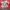 https://res.cloudinary.com/billionhands/image/upload/v1771333295/items/hjcxx8kqcu1pfhfbffdw.png-3cover