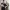 https://res.cloudinary.com/billionhands/image/upload/v1771333369/items/a1qxhgvftsxfejbm07mu.png-3cover