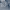 https://res.cloudinary.com/billionhands/image/upload/v1771333463/items/ioxqavhyt7jlbtkuh3s7.jpg-1cover
