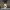 https://res.cloudinary.com/billionhands/image/upload/v1771333477/items/gwrczq6czqkaogcdp2wt.webp-3cover