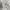 https://res.cloudinary.com/billionhands/image/upload/v1771333481/items/onelm4wm0yfbquswi8db.jpg-2cover