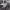 https://res.cloudinary.com/billionhands/image/upload/v1771333497/items/dsfqiei35u17pehl0pk1.jpg-2cover