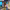 https://res.cloudinary.com/billionhands/image/upload/v1771333519/items/erl1cru2kp1dqh2kda6s.jpg-2cover