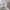 https://res.cloudinary.com/billionhands/image/upload/v1771333535/items/x8qnkk0czr18cuon1rmo.webp-1cover