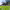 https://res.cloudinary.com/billionhands/image/upload/v1771333536/items/lgggyvcrazgleeh5jvk4.jpg-2cover