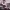 https://res.cloudinary.com/billionhands/image/upload/v1771333537/items/uzk9ypjzqwxifbdq5tg8.jpg-1cover