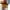 https://res.cloudinary.com/billionhands/image/upload/v1771333567/items/x2uv5ydimx3f6grqxurn.jpg-0cover