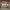 https://res.cloudinary.com/billionhands/image/upload/v1771333573/items/odqv83gae7qhsvgl1xne.jpg-2cover