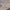 https://res.cloudinary.com/billionhands/image/upload/v1771333604/items/bwjgogfievaxrb7tx1p7.webp-0cover