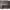 https://res.cloudinary.com/billionhands/image/upload/v1771333705/items/rupqeui02eaf2mla9ghd.webp-2cover