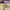https://res.cloudinary.com/billionhands/image/upload/v1771333725/items/vpinltv1lx3jjetgpytj.jpg-2cover