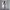 https://res.cloudinary.com/billionhands/image/upload/v1771333844/items/eylfojqfzbochq8fdapb.jpg-3cover