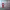 https://res.cloudinary.com/billionhands/image/upload/v1771333859/items/v4z6s3onhbucv6epythd.jpg-1cover