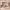 https://res.cloudinary.com/billionhands/image/upload/v1771333936/items/ejceqydj7ugphyp9kdj4.jpg-2cover