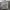 https://res.cloudinary.com/billionhands/image/upload/v1771333938/items/ilntl4zhhgqakzbnifjr.jpg-2cover