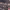 https://res.cloudinary.com/billionhands/image/upload/v1771333938/items/tsv0sujp1emqvio9tui3.jpg-3cover