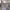 https://res.cloudinary.com/billionhands/image/upload/v1771334001/items/sz7ssj9qeir4f7cuuefd.png-1cover