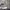 https://res.cloudinary.com/billionhands/image/upload/v1771334003/items/u3b9o6bpc9xpaoidb2j2.jpg-2cover