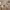 https://res.cloudinary.com/billionhands/image/upload/v1771334017/items/kq01ttvtr7urpoyba7jc.webp-2cover