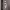 https://res.cloudinary.com/billionhands/image/upload/v1771334033/items/rrm0oo2pedkocblt9gnb.jpg-3cover