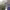 https://res.cloudinary.com/billionhands/image/upload/v1771334098/items/r4gqlucxbyxgv8wkdari.jpg-0cover